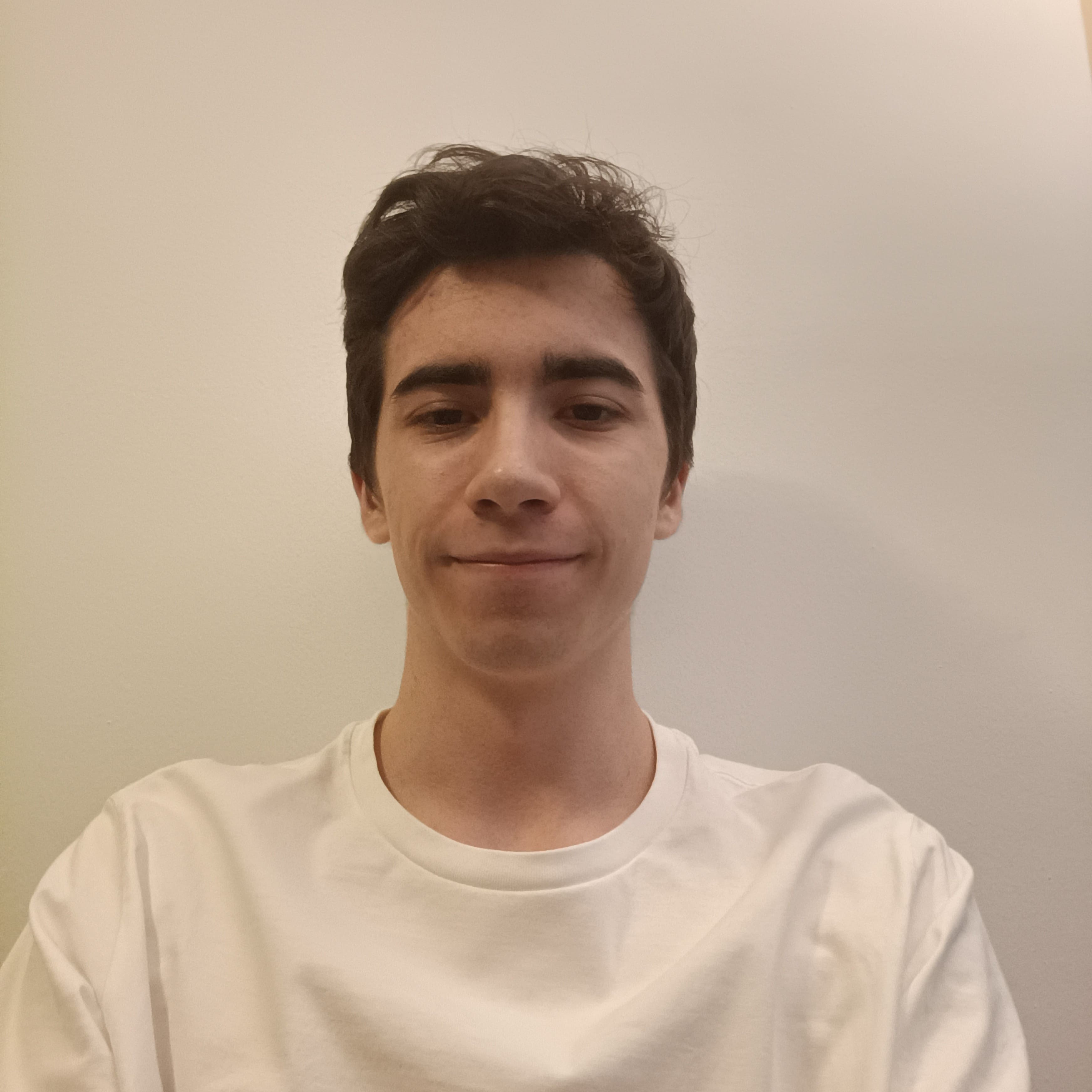 Andreu Miró Sabaté